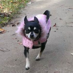 Meet your Posher, Melanie